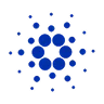 Cardano