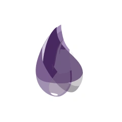 Elixir