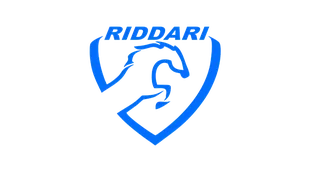 Riddari