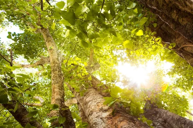 Environmental compliance benefits