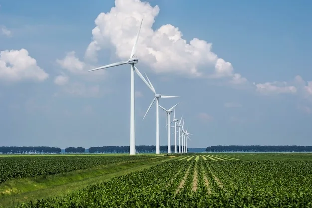 Why environmental compliance matters