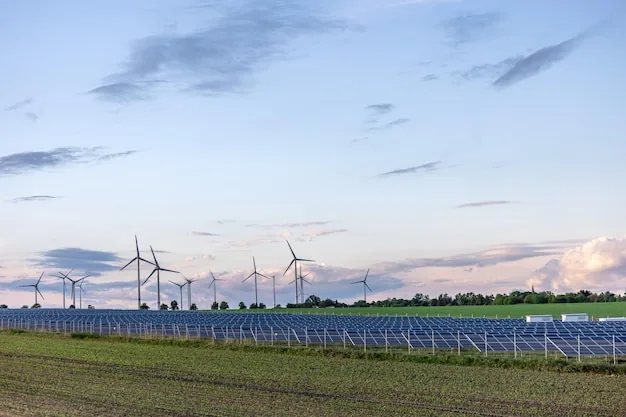 Environmental sustainability roadmap phase