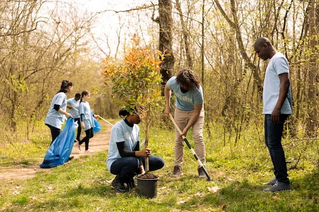 Environmental staff engagement phase