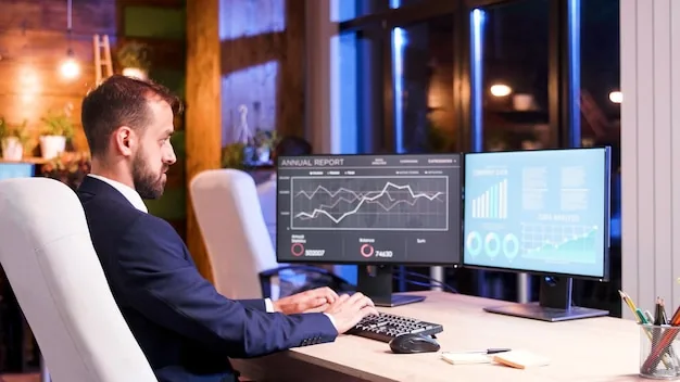 GDPR monitoring and DPO support phase