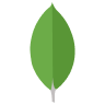 MongoDB Database