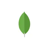 Adobe Illustrator